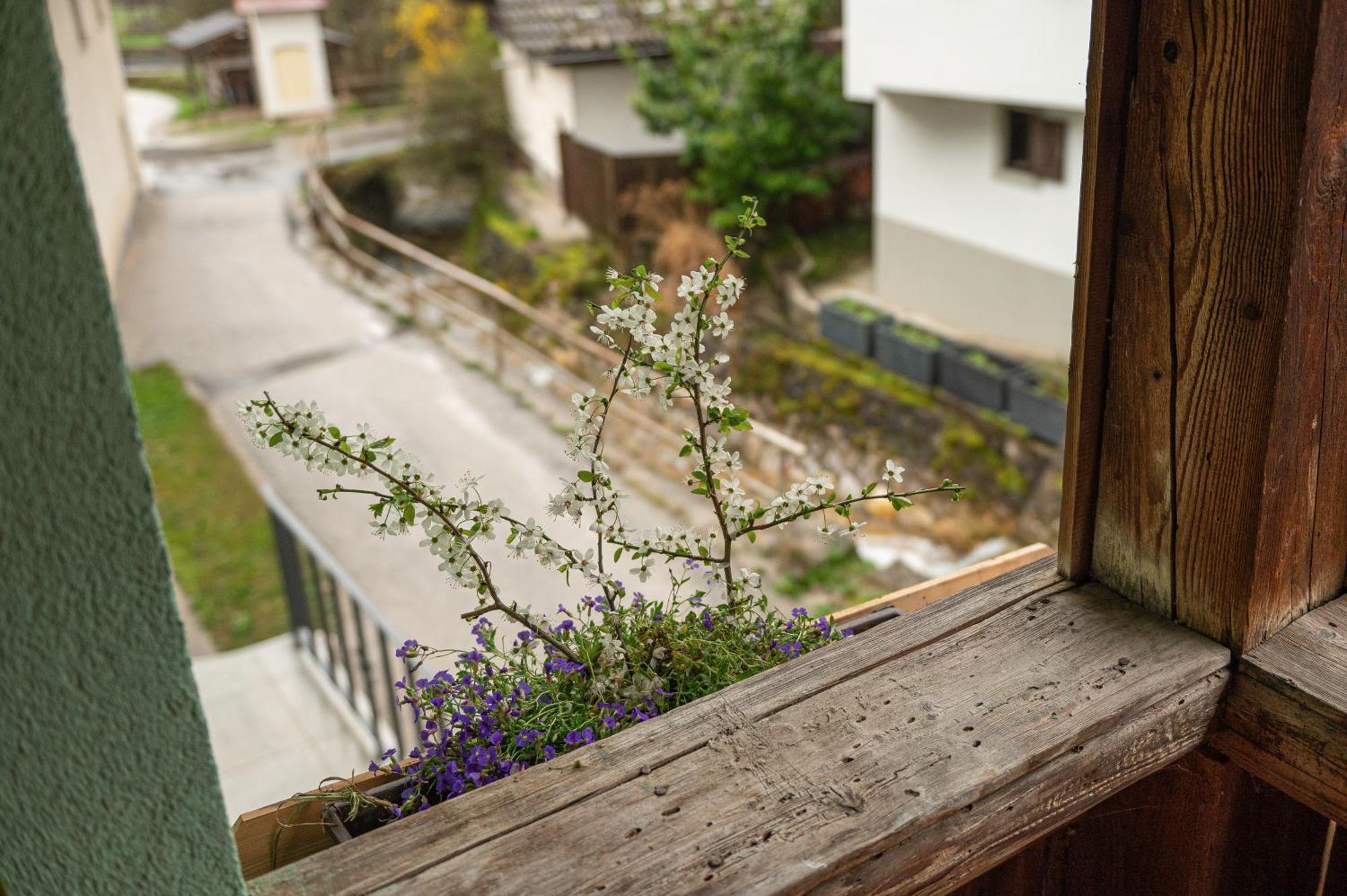 Zelena Hisa Pri Bjov Apartment Бохинийска Бела Екстериор снимка